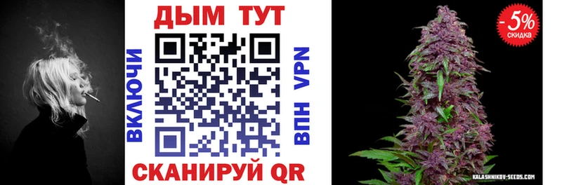 blacksprut как войти  Приозерск  МАРИХУАНА ГИДРОПОН 